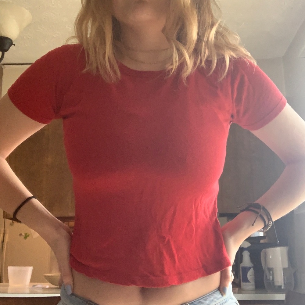 Brandy Melville Crop Top
